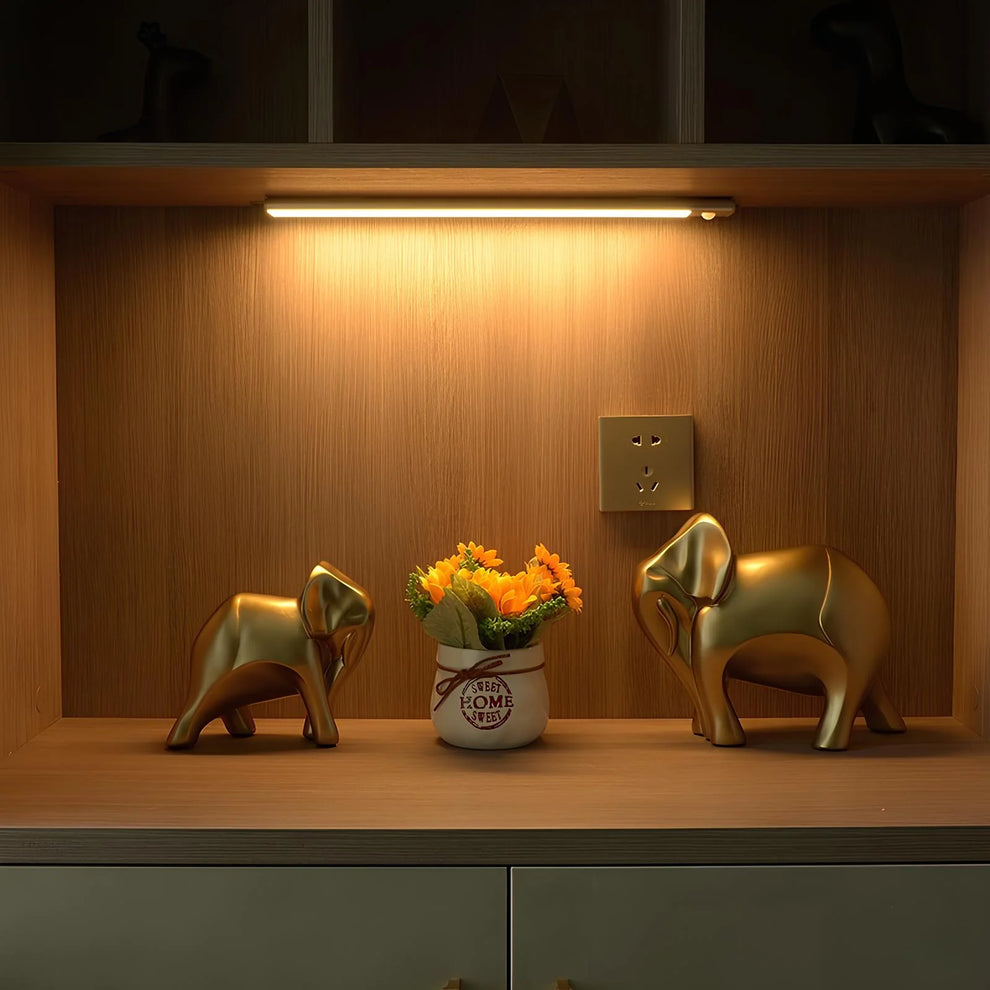 Luce LED con Sensore di Movimento 30 CM / 11.8"